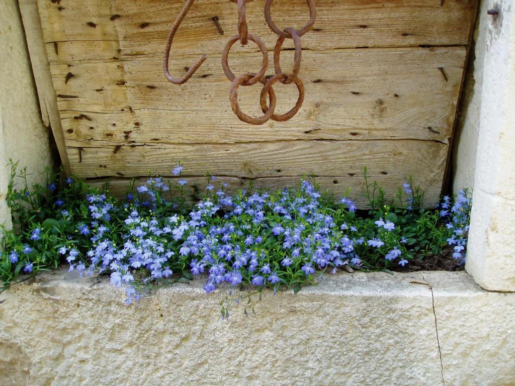 Gite De Fontepaisse Saint-Jean-en-Royans Εξωτερικό φωτογραφία